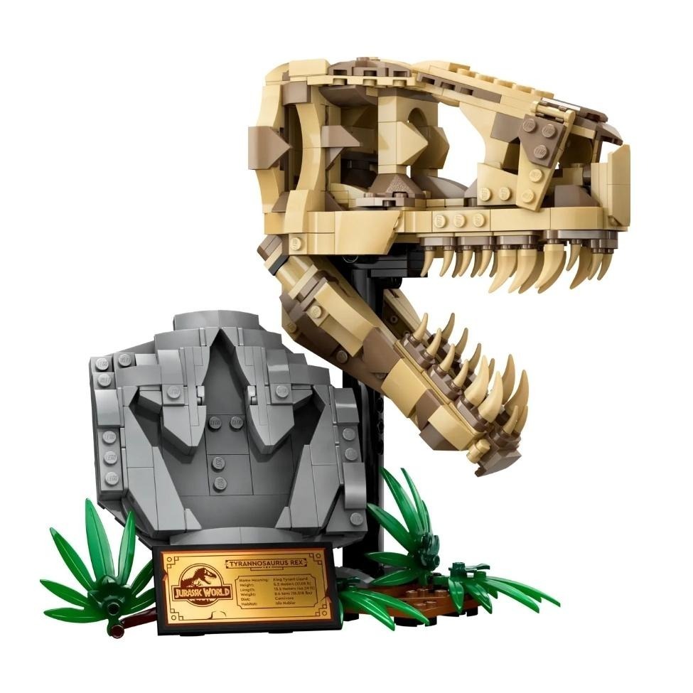 【磚星球】樂高 LEGO 76964 侏羅紀世界系列 恐龍化石 霸王龍頭骨 Fossils: T. rex Skull-細節圖3