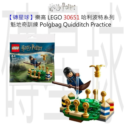 【磚星球】樂高 LEGO 30651 哈利波特系列 魁地奇訓練 Polgbag Quidditch Practice
