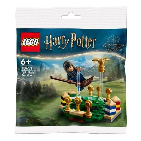 【磚星球】樂高 LEGO 30651 哈利波特系列 魁地奇訓練 Polgbag Quidditch Practice-細節圖2