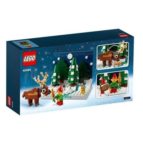 【磚星球】樂高 LEGO 40484 特殊系列 聖誕老人前院 Santa＇s Front Yard-細節圖4