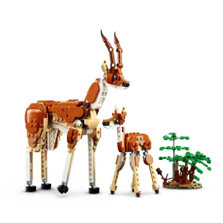 【磚星球】樂高 LEGO 31150 創意三合一系列 野生動物園動物 Wild Safari Animals-細節圖4