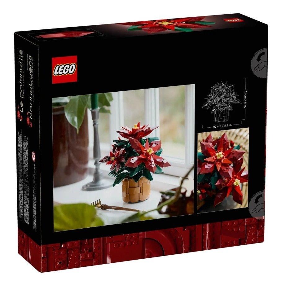 【磚星球】樂高 LEGO 10370 花藝系列 聖誕紅 Poinsettia-細節圖4