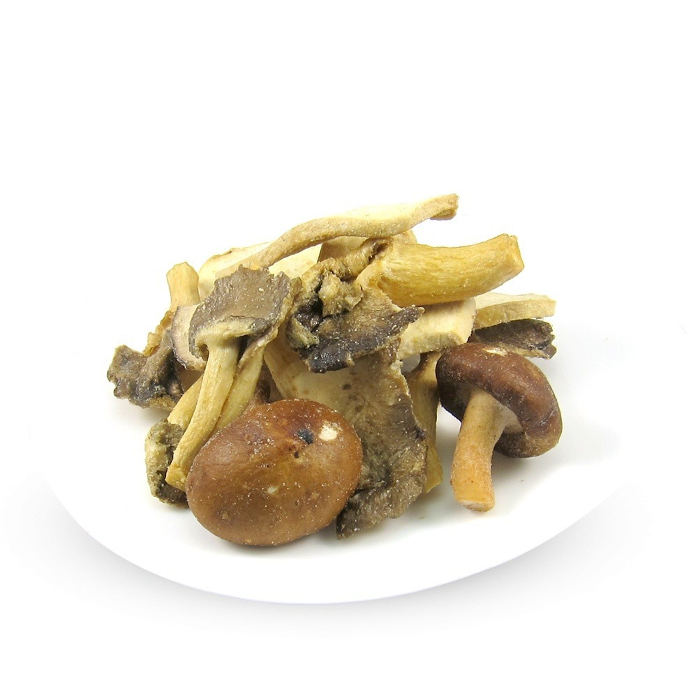 元氣家 綜合菇脆片(100g)-細節圖2