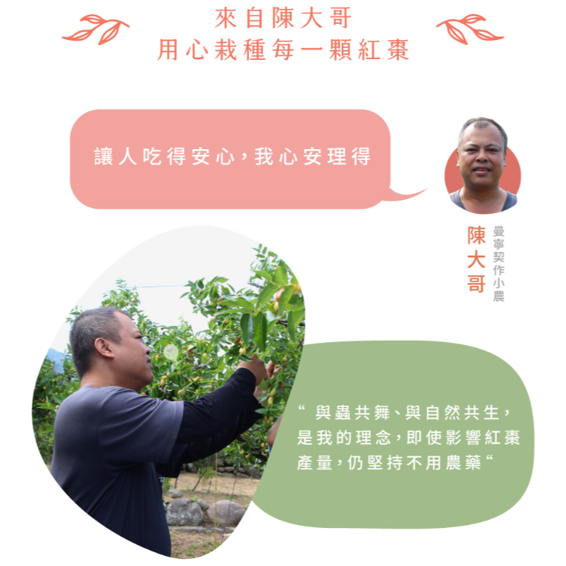 **現貨**曼寧 玫瑰紅棗茶補充包 3g*40入/袋✪✪滋養補身 紅潤好氣色-細節圖7