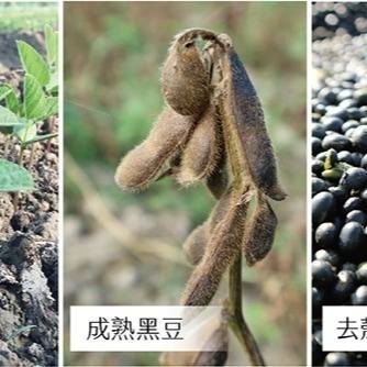 **現貨**曼寧 深焙黑豆茶 8g*40入/袋✪慢火深焙 獨特香氣 量大另議-細節圖3