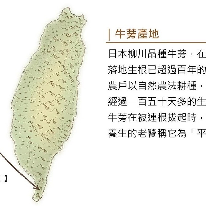 **現貨**曼寧 瑪黛牛蒡茶補充包 5克*40入/袋✪層次分明 茶香回甘-細節圖3