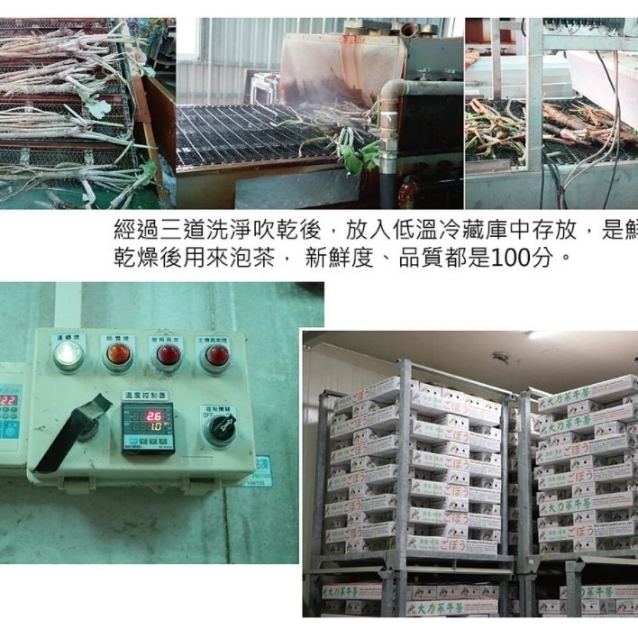 **現貨**曼寧 瑪黛牛蒡茶補充包 5克*40入/袋✪層次分明 茶香回甘-細節圖5