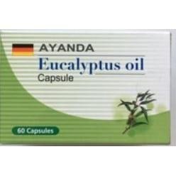 利治霏 惠益清 Eucalyptusoil 尤加利精油膠囊60顆/盒 尤加利油膠囊 純天然植物蒸餾 尤加利精油