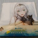 Hololive 一番賞 迷你帆布畫 (湊あくあ、戌神ころね、兎田ぺこら、白銀ノエル、宝鐘マリン)-規格圖6