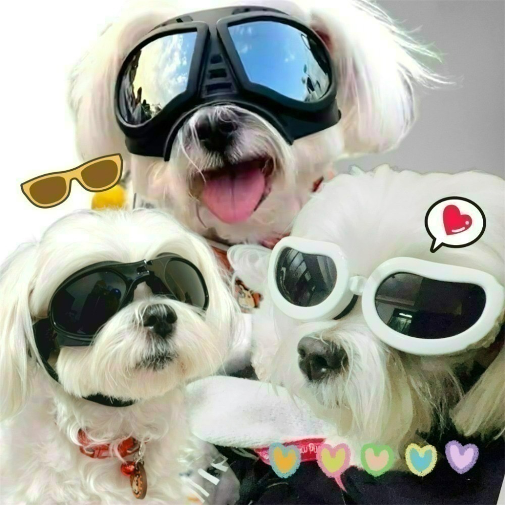 寵物墨鏡 寵物護目鏡 寵物防風眼鏡 狗防風眼鏡-細節圖9