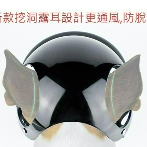寵物安全帽 狗安全帽 狗狗安全帽-細節圖2