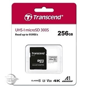 枕頭山 創見 Transcend Micro-sd 記憶卡 SD卡  資料儲存-細節圖3