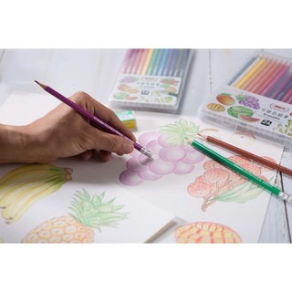 枕頭山 Liberty 利百代 CC-865 24色 可擦 色鉛筆 彩色 鉛筆 彩色鉛筆 彩色蠟筆 8F-細節圖2