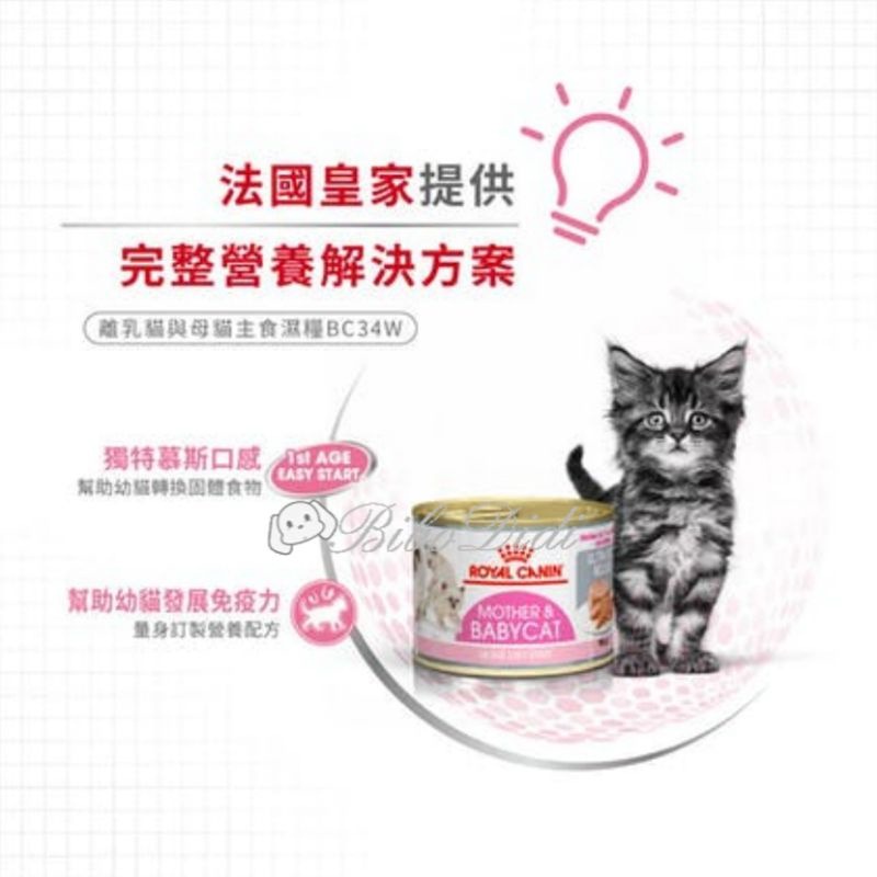 毛球寵物 皇家 貓濕糧 85G 離乳罐 195g  貓專用濕糧 貓主食 貓餐包 貓 幼貓 皇家濕糧 K36W BC34W-細節圖2