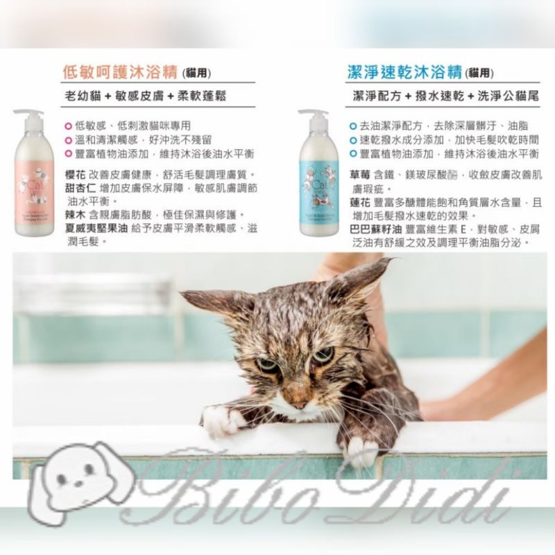 毛球寵物 Cat Young 貓用低敏呵護/潔淨速乾沐浴精-500ml 特價319元-細節圖2