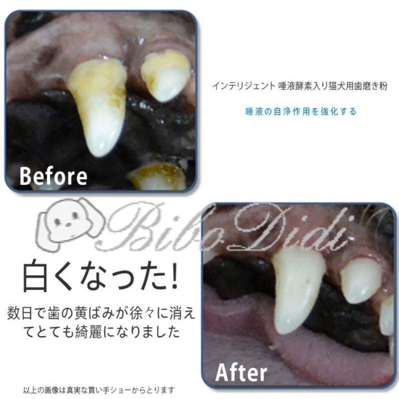 毛球寵物【INTELLIGENT因特力淨】新包裝 期限2026/06/01 酵素寵物牙膏80g 犬貓用 隨附贈品 新效期-細節圖3