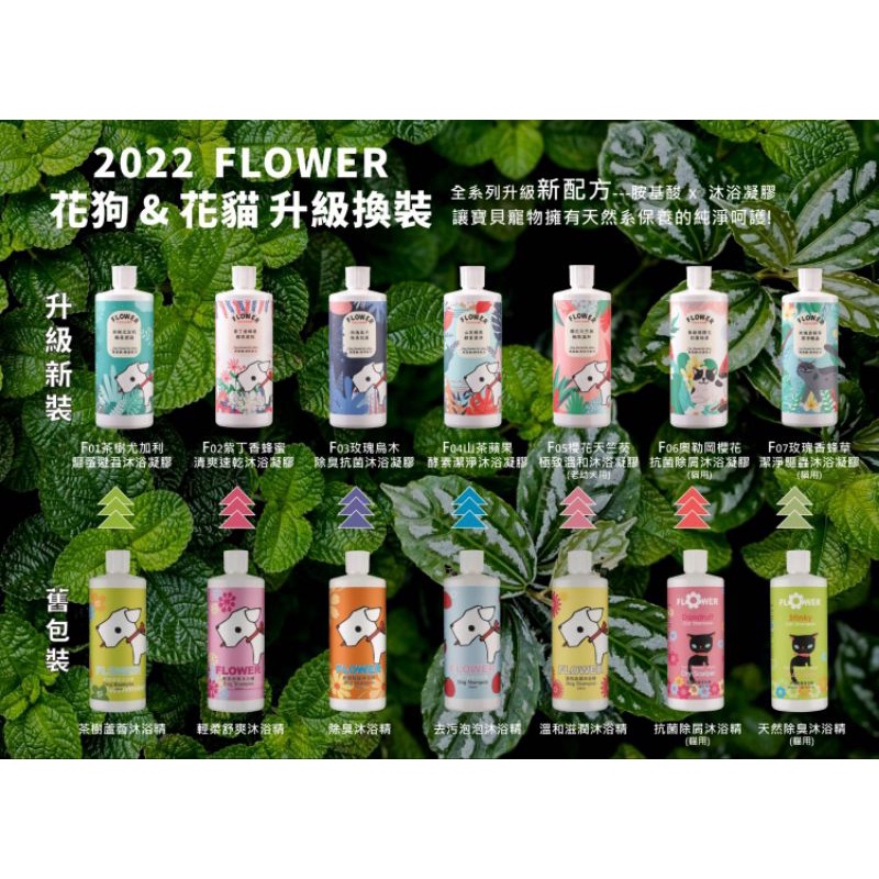 毛球寵物 花狗系列 洗毛精 極致溫和 酵素潔淨 茶樹尤加利 除臭抗菌 凝膠清爽速乾 沐浴  500ml-細節圖2