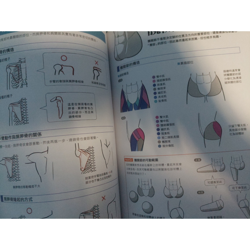 CG人體繪畫事典: 畫好人物的39個秘訣 || #二手書 #繪圖 #藝術 #繪畫 #人體 #骨架 #解剖 #肌肉-細節圖2