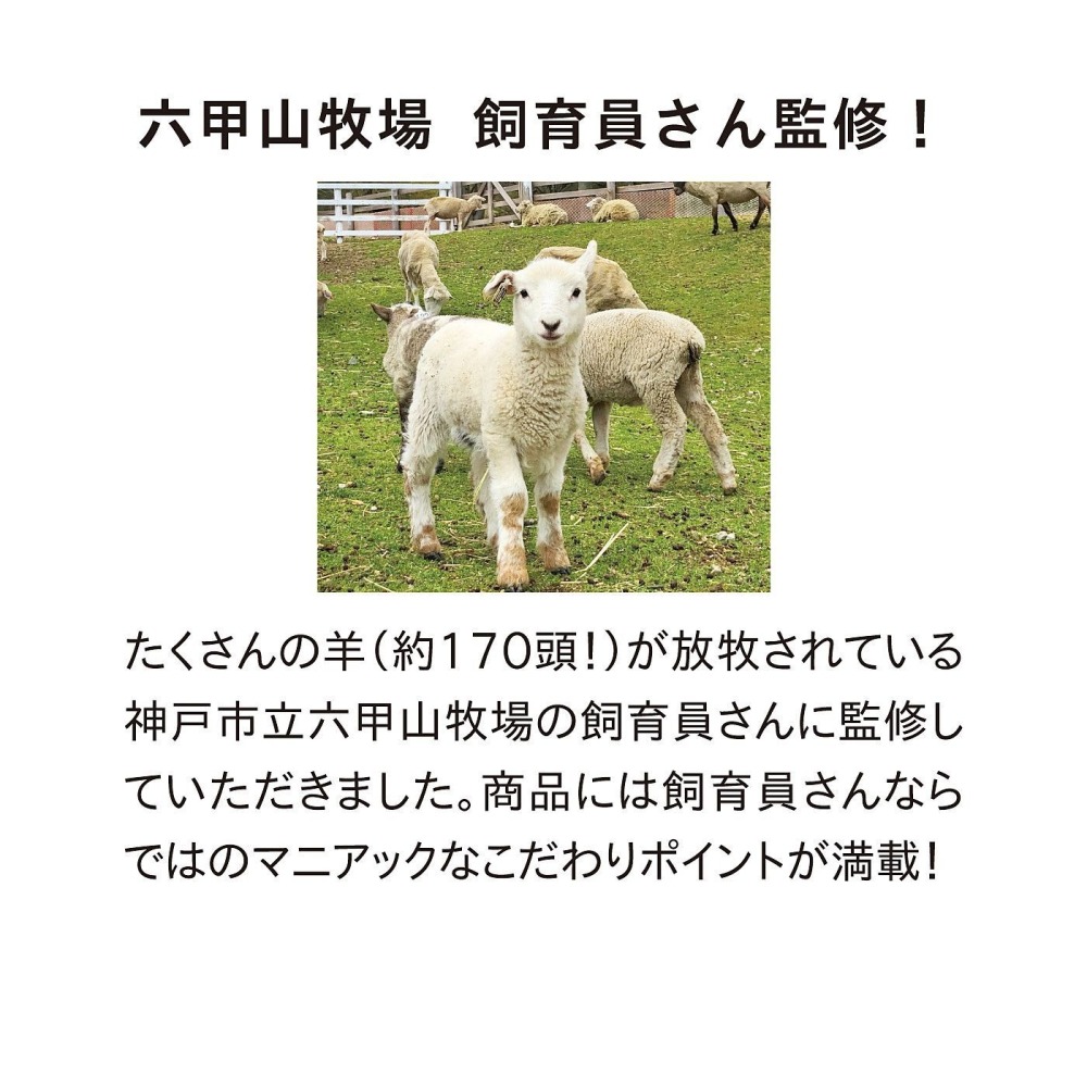【正版現貨】FELISSIMO×YOU+MORE!×六甲山牧場 親子綿羊吊飾 布偶 情人節 生日 母親節♡萌獸動物園♡-細節圖4