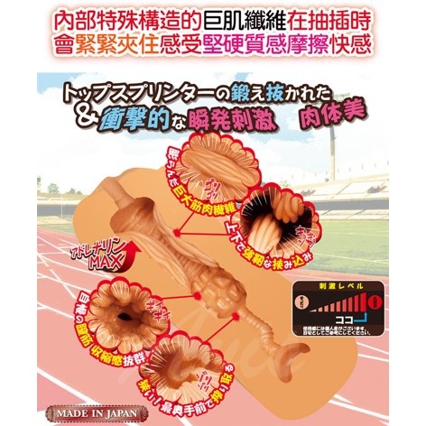 Toys Heart 對子哈特 田徑少女 陸上女 超硬緊窄飛機杯自慰器 動漫自慰套 情趣玩具 Tidal.潮汐情趣-細節圖3