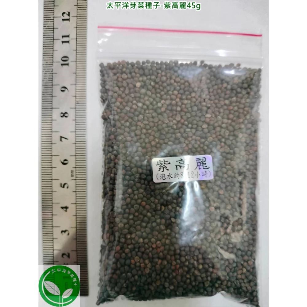 紫高麗菜種子(義大利進口) 可培育芽菜-發芽率85%以上-芽菜種子/迷你微型蔬菜種子/綠拿鐵生菜種子-土耕/水耕均可-規格圖7
