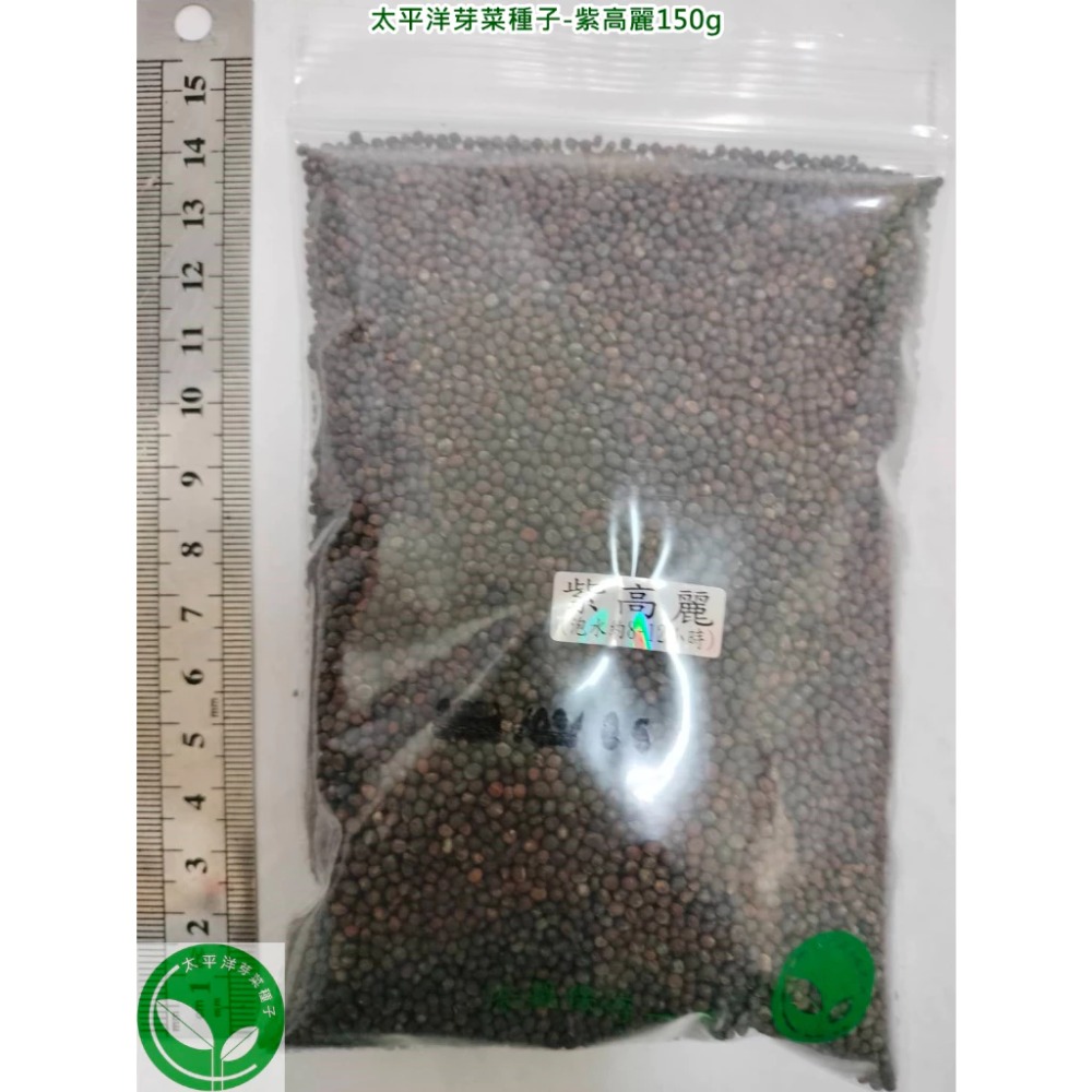 紫高麗菜種子(義大利進口) 可培育芽菜-發芽率85%以上-芽菜種子/迷你微型蔬菜種子/綠拿鐵生菜種子-土耕/水耕均可-規格圖7