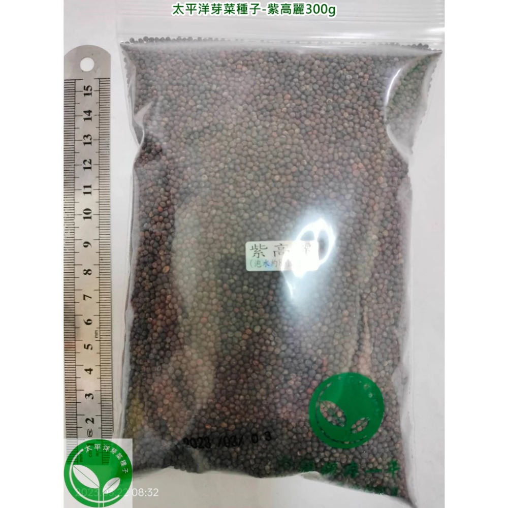 紫高麗菜種子(義大利進口) 可培育芽菜-發芽率85%以上-芽菜種子/迷你微型蔬菜種子/綠拿鐵生菜種子-土耕/水耕均可-規格圖7