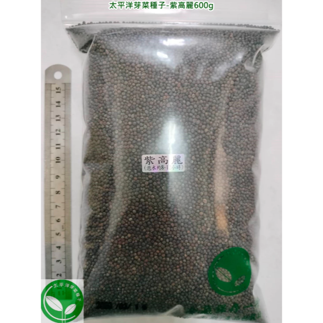 紫高麗菜種子(義大利進口) 可培育芽菜-發芽率85%以上-芽菜種子/迷你微型蔬菜種子/綠拿鐵生菜種子-土耕/水耕均可-規格圖7