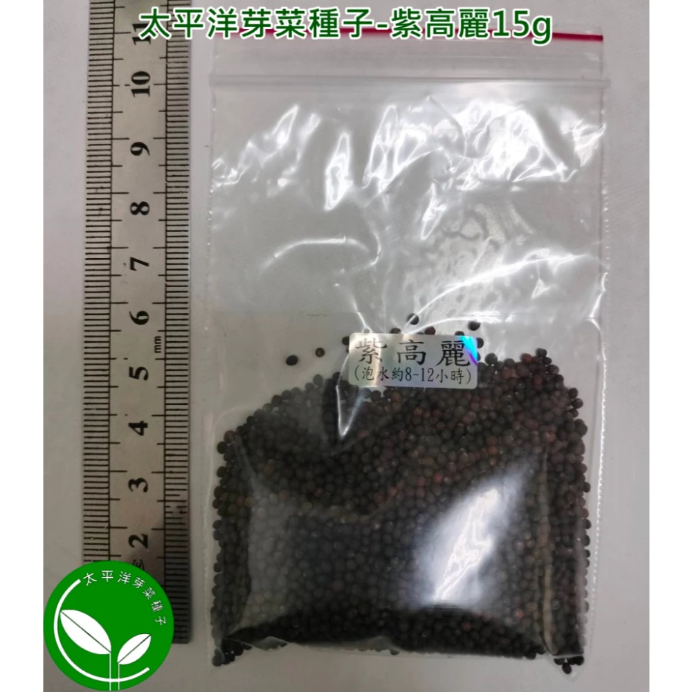 紫高麗菜種子(義大利進口) 可培育芽菜-發芽率85%以上-芽菜種子/迷你微型蔬菜種子/綠拿鐵生菜種子-土耕/水耕均可-規格圖7