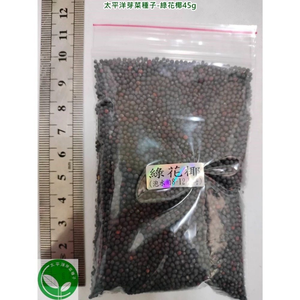 綠花椰種子(青花菜種子/西蘭花種子) 可培育芽菜/綠花椰菜-義大利進口-發芽率85%以上-芽苗菜種子/綠拿鐵生菜種子-規格圖5