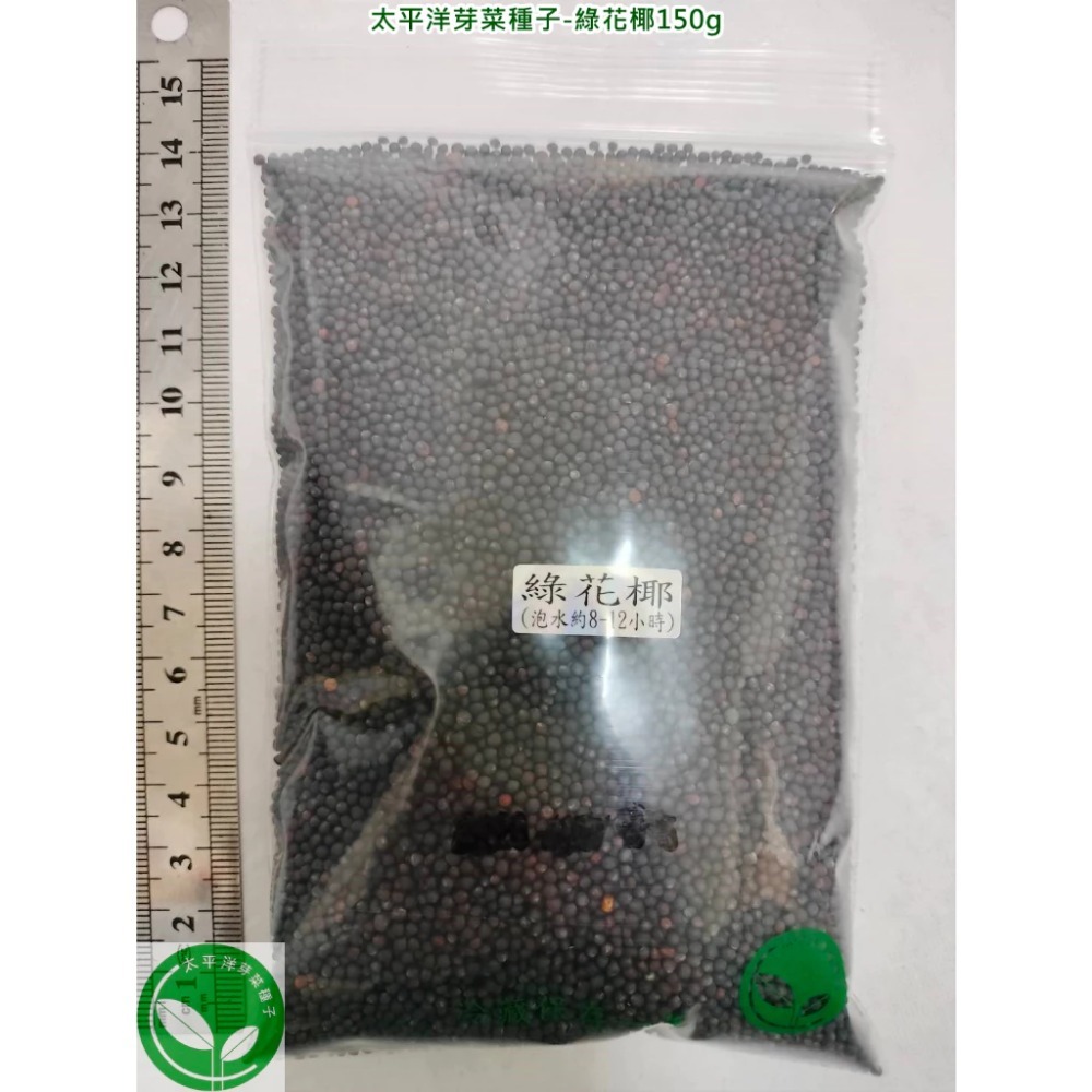 綠花椰種子(青花菜種子/西蘭花種子) 可培育芽菜/綠花椰菜-義大利進口-發芽率85%以上-芽苗菜種子/綠拿鐵生菜種子-規格圖5