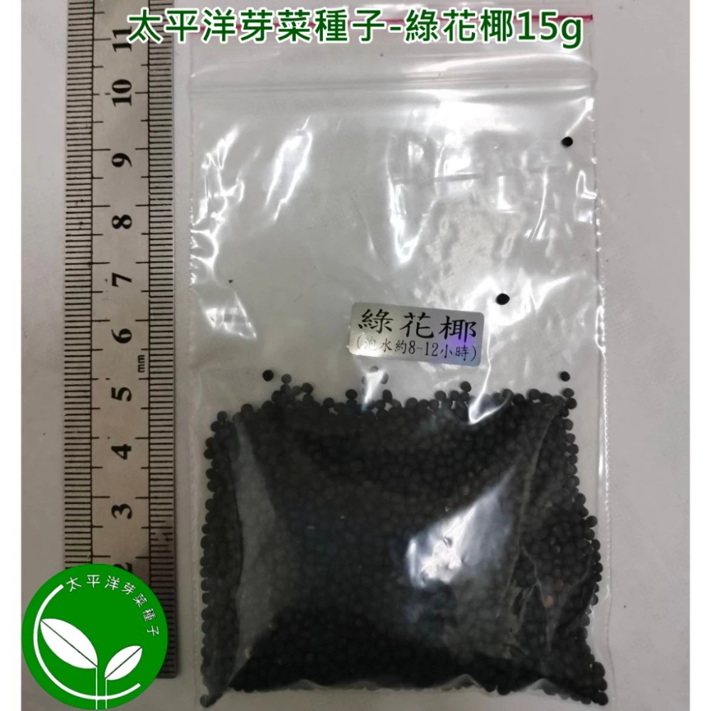 綠花椰種子(青花菜種子/西蘭花種子) 可培育芽菜/綠花椰菜-義大利進口-發芽率85%以上-芽苗菜種子/綠拿鐵生菜種子-規格圖5