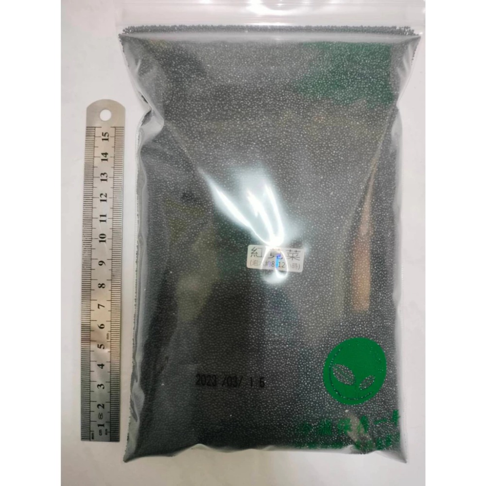 紅莧菜種子(長壽菜)-85%以上發芽率-日本進口-土耕水耕均可-芽菜種子/綠拿鐵生菜種子/微型蔬菜種子-規格圖6