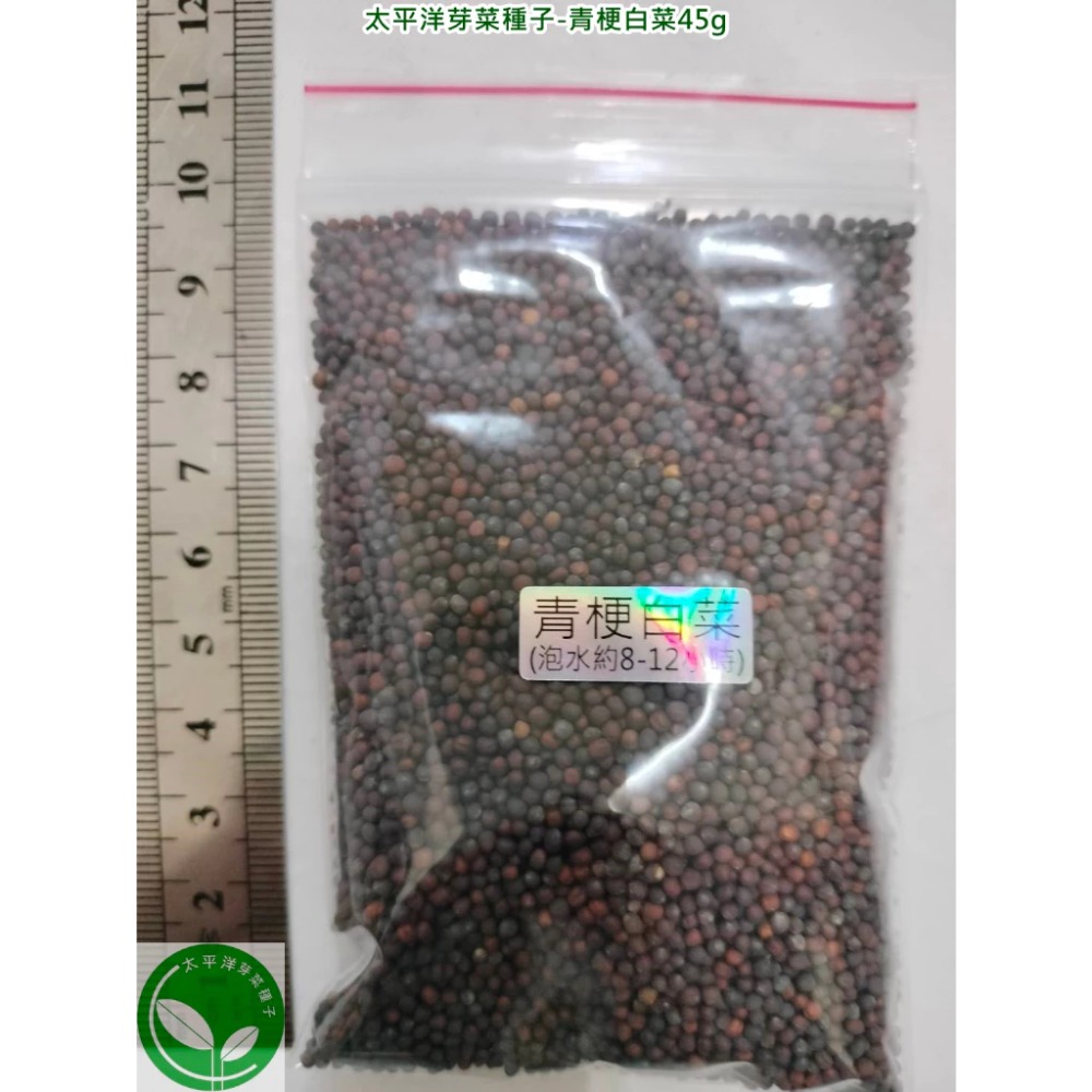 青梗白菜種子(青江菜)-日本-可水耕/土耕-85%以上高發芽率-芽菜種子/生菜種子/芽苗菜種子-規格圖8
