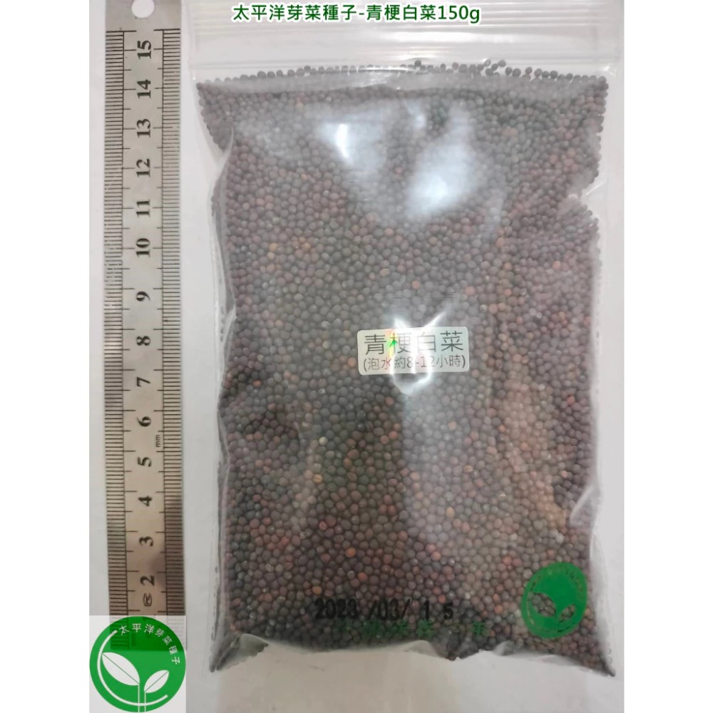 青梗白菜種子(青江菜)-日本-可水耕/土耕-85%以上高發芽率-芽菜種子/生菜種子/芽苗菜種子-規格圖8