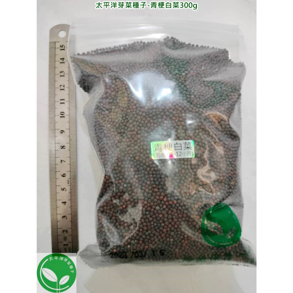青梗白菜種子(青江菜)-日本-可水耕/土耕-85%以上高發芽率-芽菜種子/生菜種子/芽苗菜種子-規格圖8