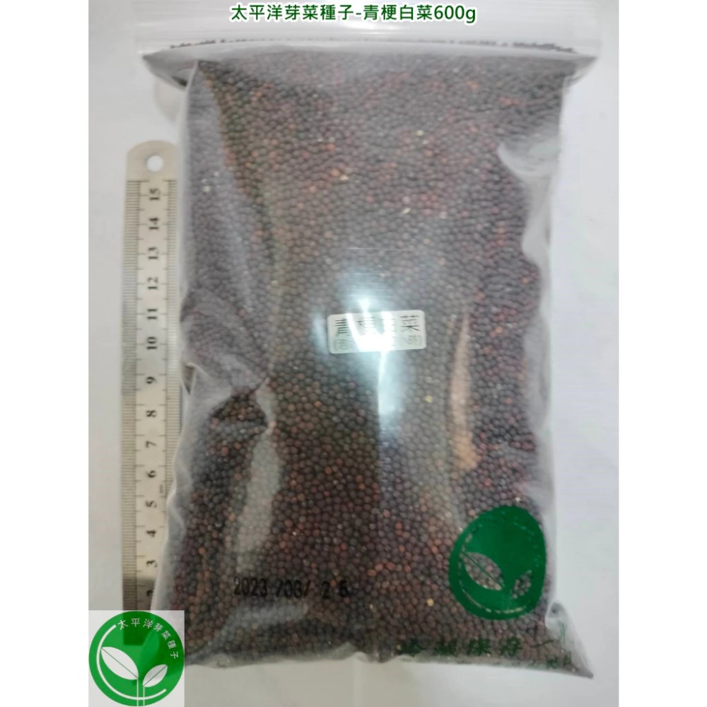 青梗白菜種子(青江菜)-日本-可水耕/土耕-85%以上高發芽率-芽菜種子/生菜種子/芽苗菜種子-規格圖8