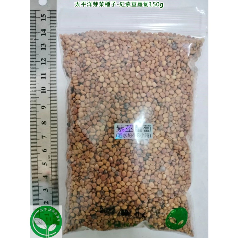 紅紫莖蘿蔔種子-美國葉用小蘿蔔-可水耕/土耕/煮食-85%以上高發芽率-芽菜種子/生菜芽苗菜種子-規格圖5