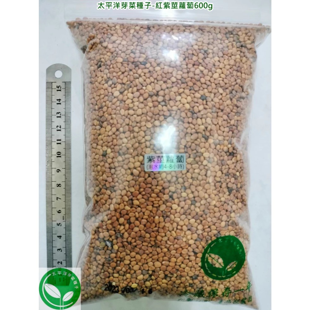 紅紫莖蘿蔔種子-美國葉用小蘿蔔-可水耕/土耕/煮食-85%以上高發芽率-芽菜種子/生菜芽苗菜種子-規格圖5