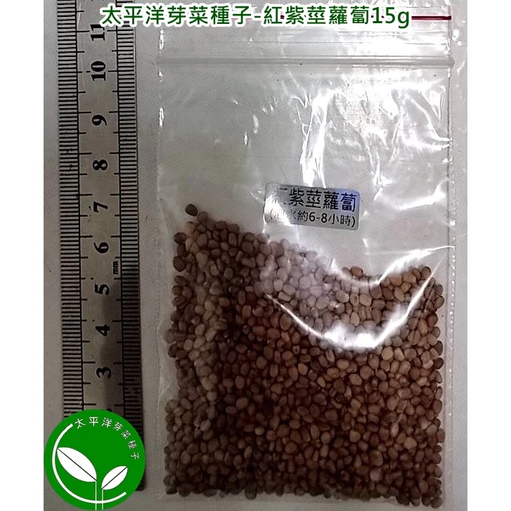紅紫莖蘿蔔種子-美國葉用小蘿蔔-可水耕/土耕/煮食-85%以上高發芽率-芽菜種子/生菜芽苗菜種子-規格圖5