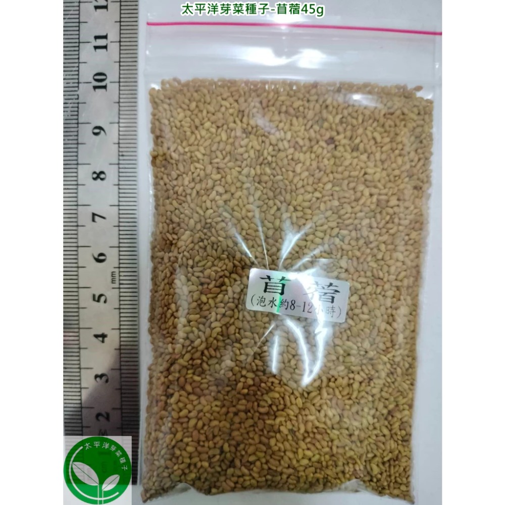 苜蓿芽種子(苜蓿草種子)-澳洲-紫花-可水耕/土耕/煮食-85%以上高發芽率-芽菜種子/生菜種子-規格圖6