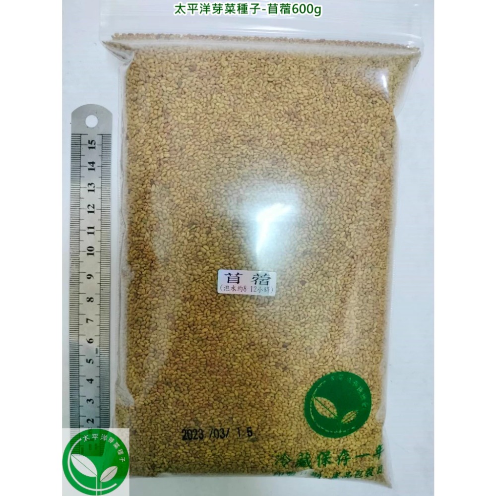 苜蓿芽種子(苜蓿草種子)-澳洲-紫花-可水耕/土耕/煮食-85%以上高發芽率-芽菜種子/生菜種子-規格圖6