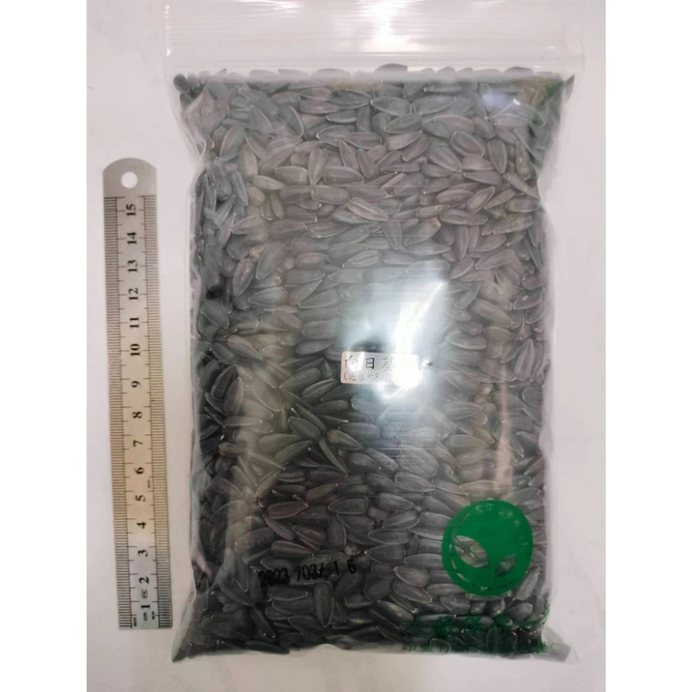 向日葵花種子-義大利-可水耕/土耕/煮食/觀賞-85%以上高發芽率-芽菜種子生菜種子-規格圖6