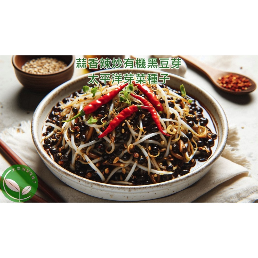 正宗台灣青仁黑豆-高雄-可水耕/土耕/煮食－85%以上高發芽率-芽菜種子/豆芽菜種子/土耕種子-細節圖5
