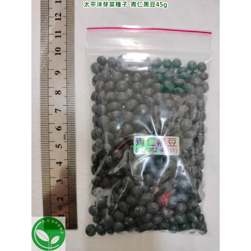 正宗台灣青仁黑豆-高雄-可水耕/土耕/煮食－85%以上高發芽率-芽菜種子/豆芽菜種子/土耕種子-規格圖7