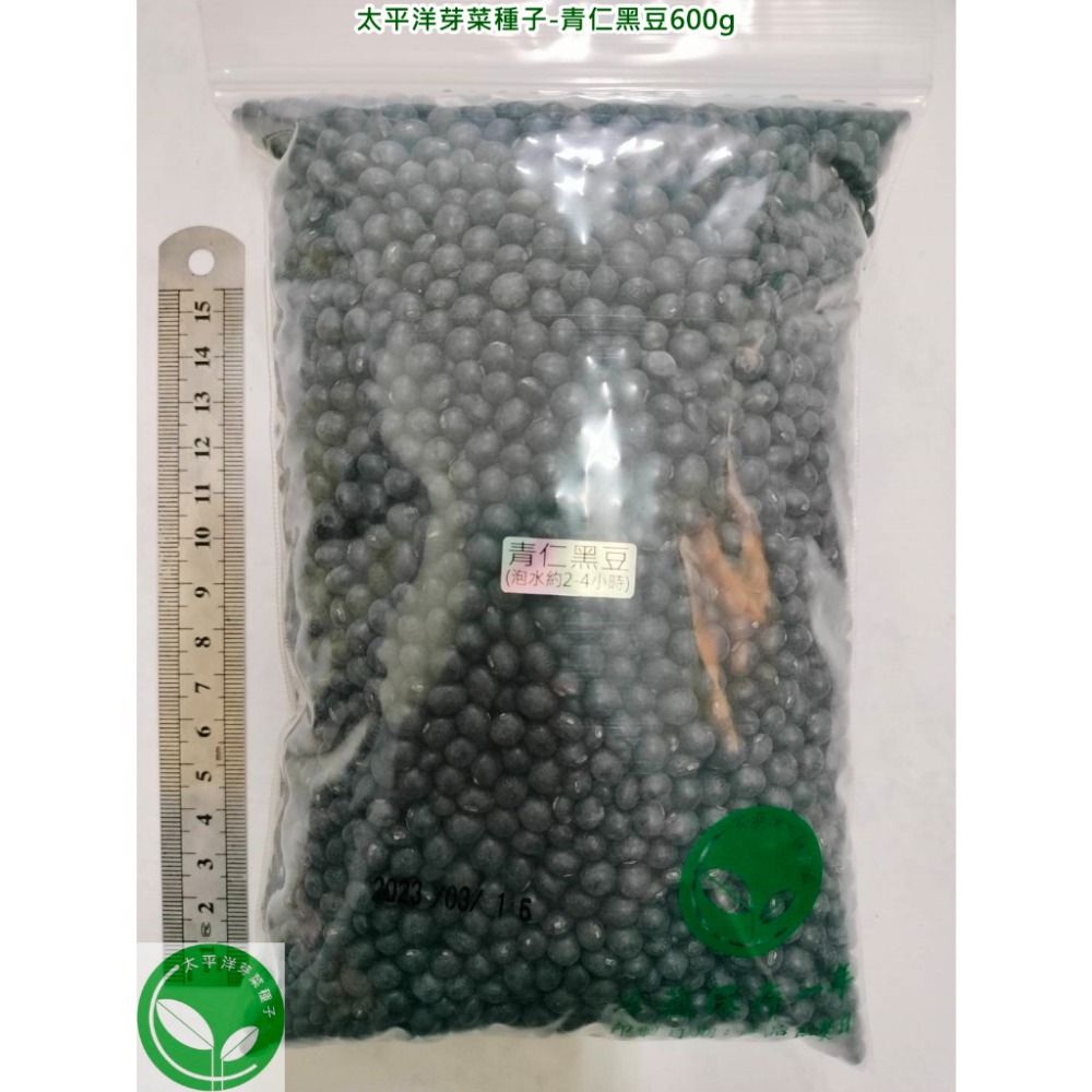 正宗台灣青仁黑豆-高雄-可水耕/土耕/煮食－85%以上高發芽率-芽菜種子/豆芽菜種子/土耕種子-規格圖7