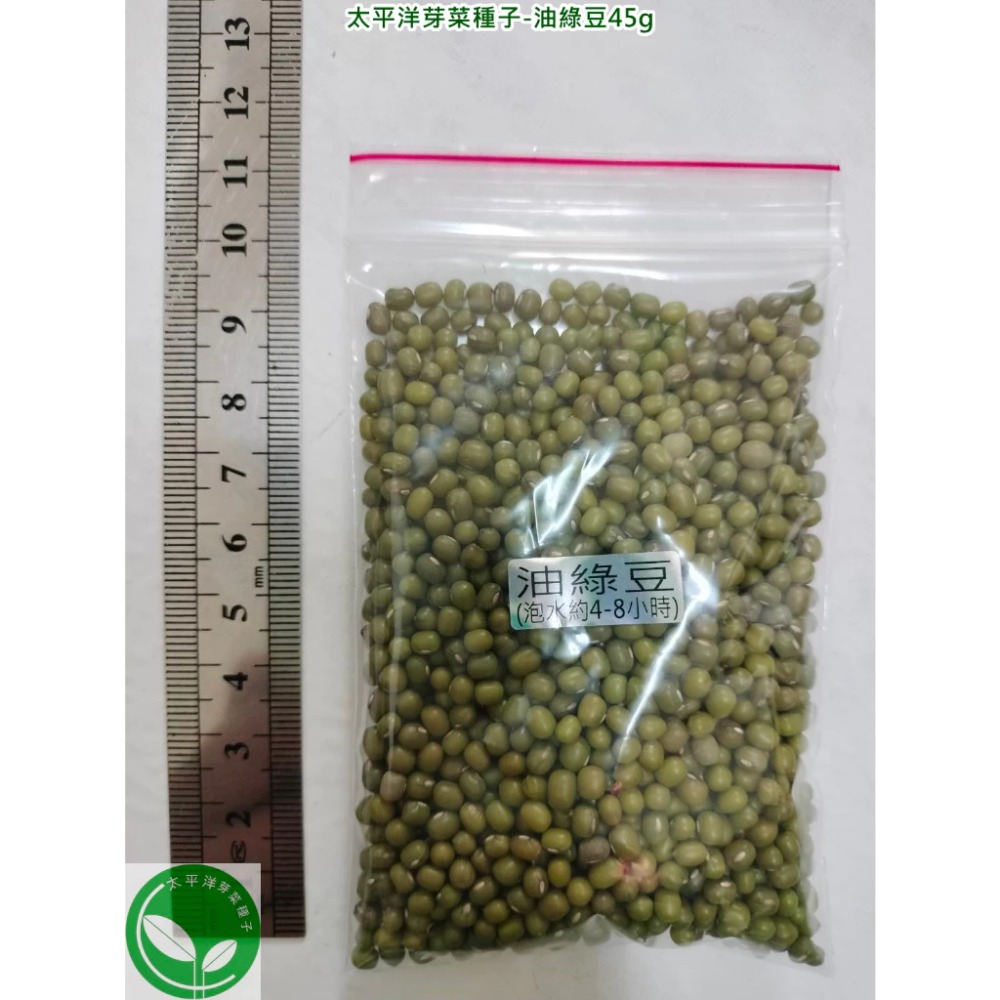 油綠豆-小顆粒-可水耕/土耕/煮食-85%以上高發芽率-芽菜/豆芽菜種子/土耕種子-規格圖5