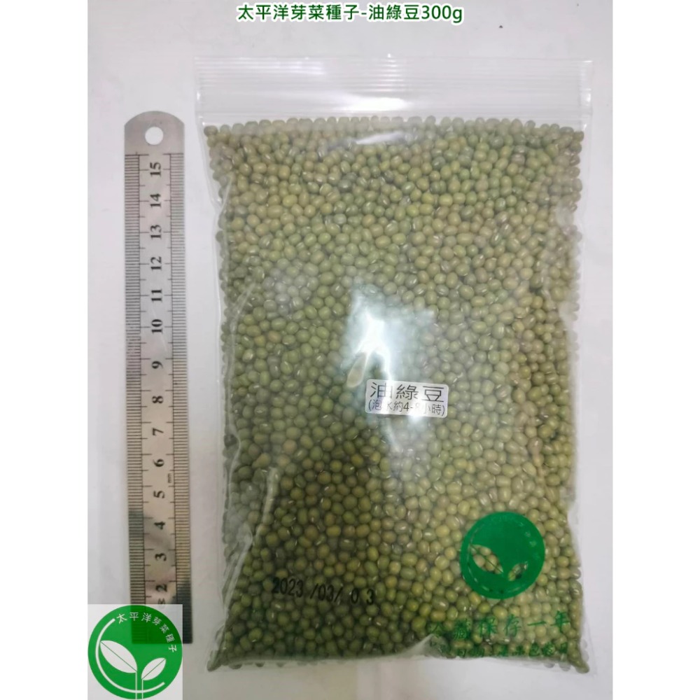 油綠豆-小顆粒-可水耕/土耕/煮食-85%以上高發芽率-芽菜/豆芽菜種子/土耕種子-規格圖5