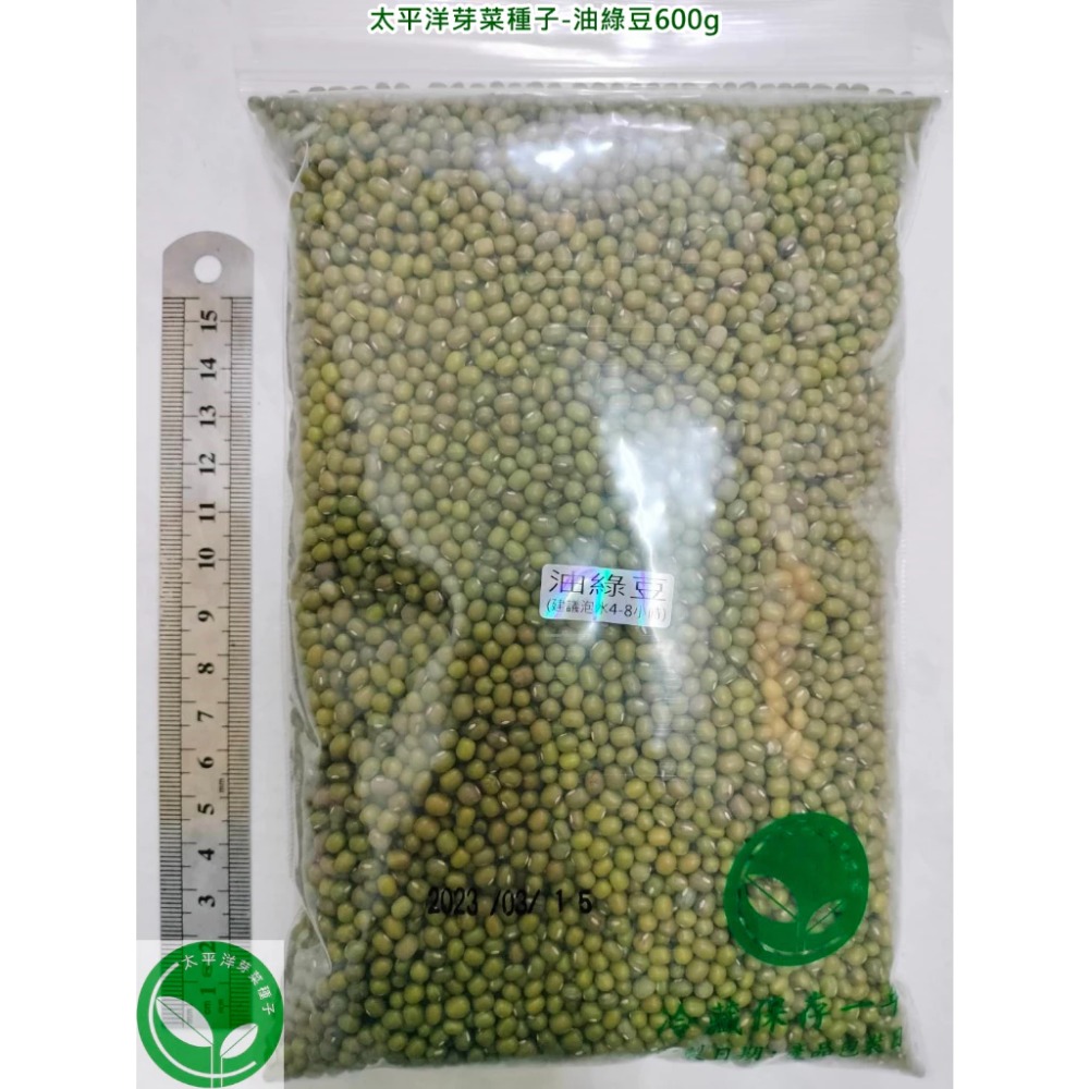 油綠豆-小顆粒-可水耕/土耕/煮食-85%以上高發芽率-芽菜/豆芽菜種子/土耕種子-規格圖5
