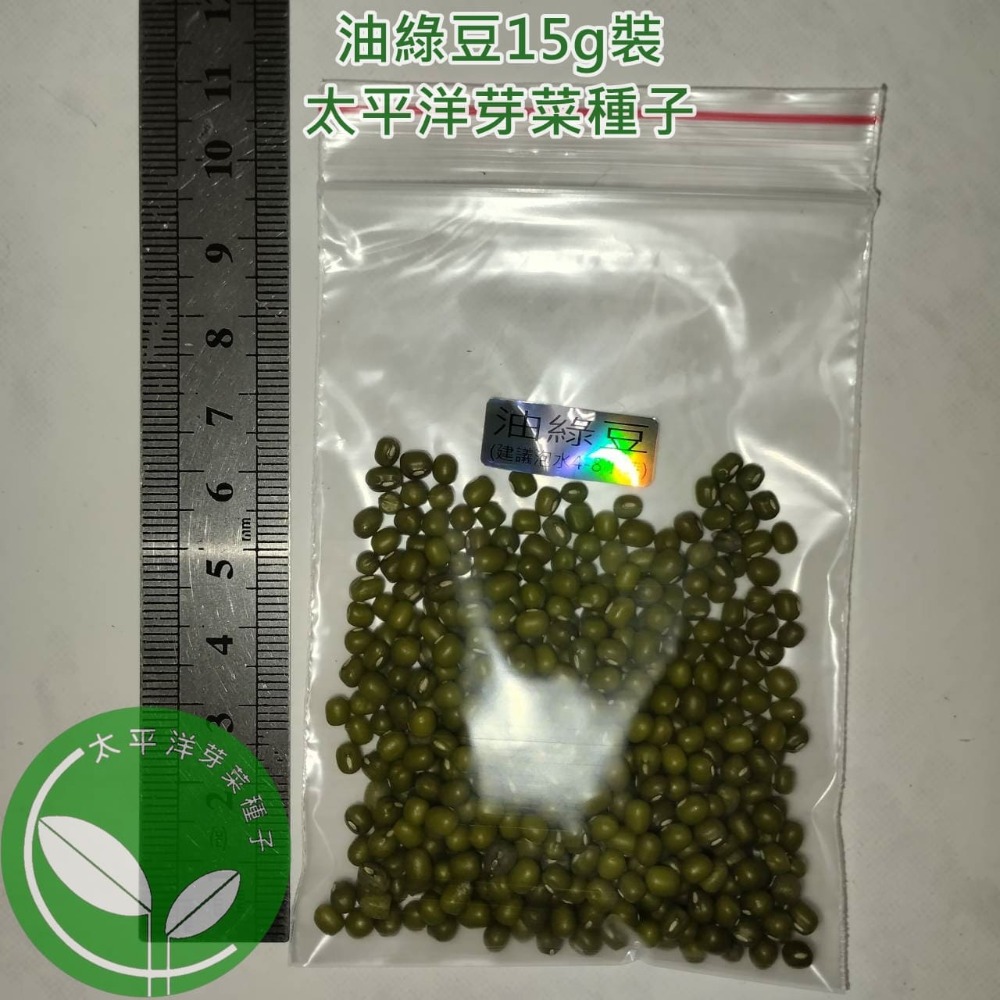 油綠豆-小顆粒-可水耕/土耕/煮食-85%以上高發芽率-芽菜/豆芽菜種子/土耕種子-規格圖5